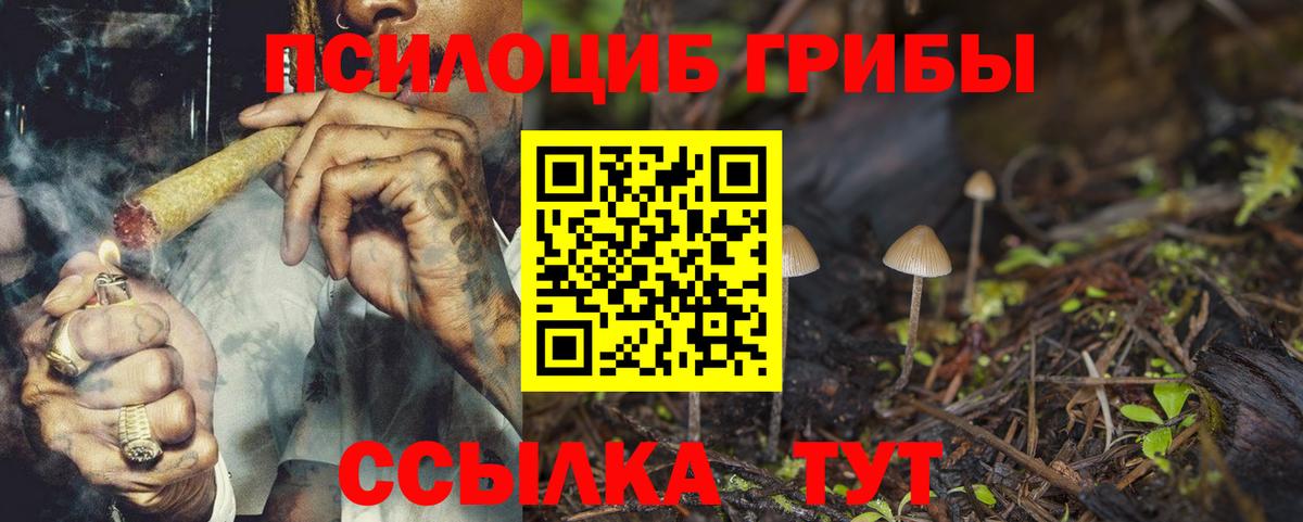 Воронеж  где купить наркоту  Вход с VPN  Галлюциногенные грибы Psilocybe 