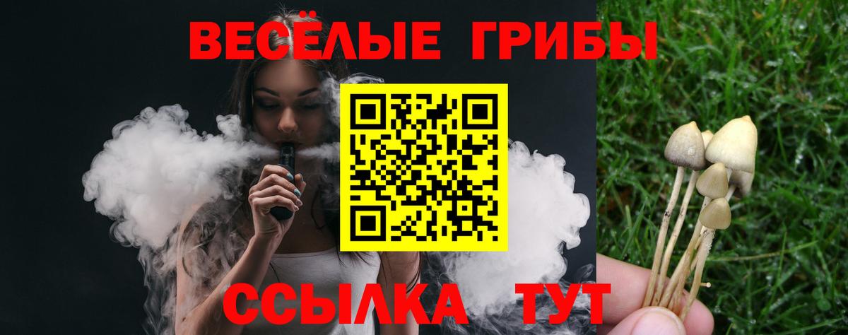 Псилоцибиновые грибы прущие грибы Воронеж